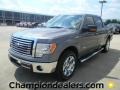 2011 Sterling Grey Metallic Ford F150 XLT SuperCrew  photo #1