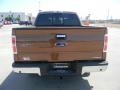 2011 Golden Bronze Metallic Ford F150 XLT SuperCrew  photo #3