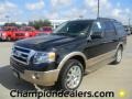 Tuxedo Black Metallic - Expedition XLT Photo No. 1