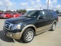 Tuxedo Black Metallic - Expedition XLT Photo No. 8