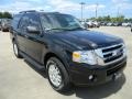 Tuxedo Black Metallic - Expedition XLT Photo No. 3