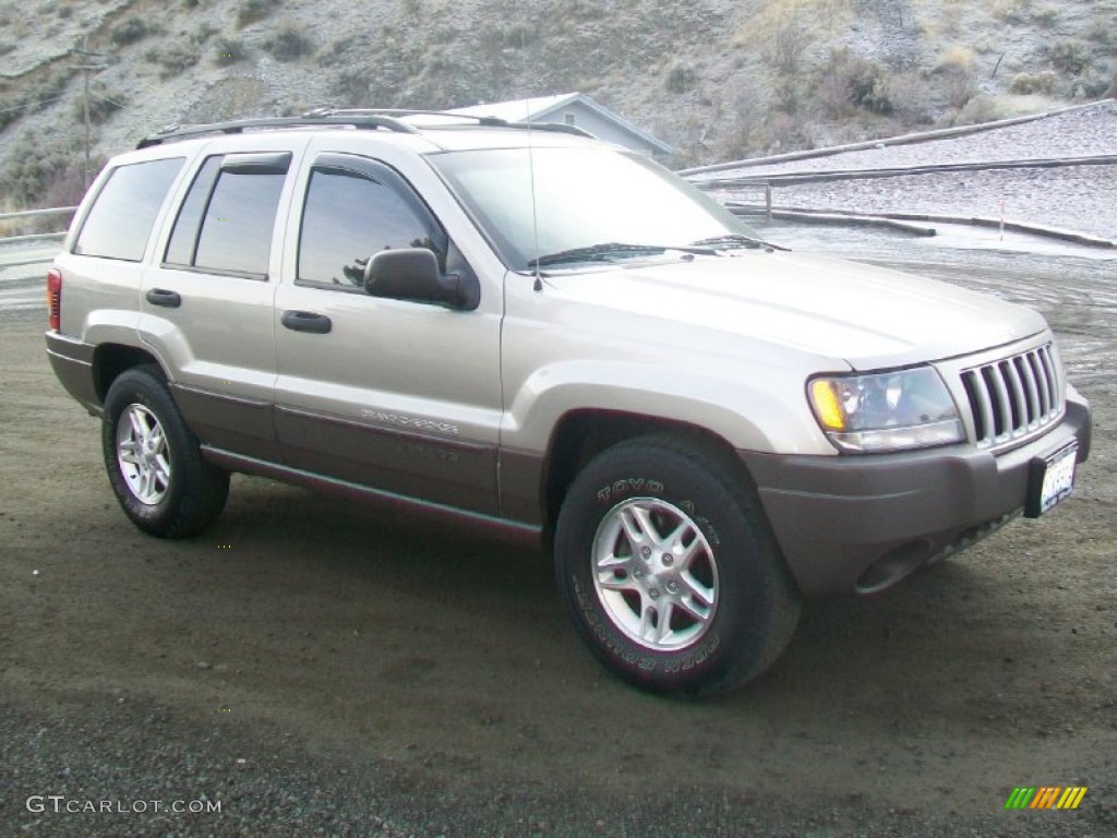 2004 Grand Cherokee Laredo 4x4 - Light Pewter Metallic / Dark Slate Gray photo #1