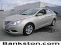 Camel Pearl - Sonata GLS Photo No. 1