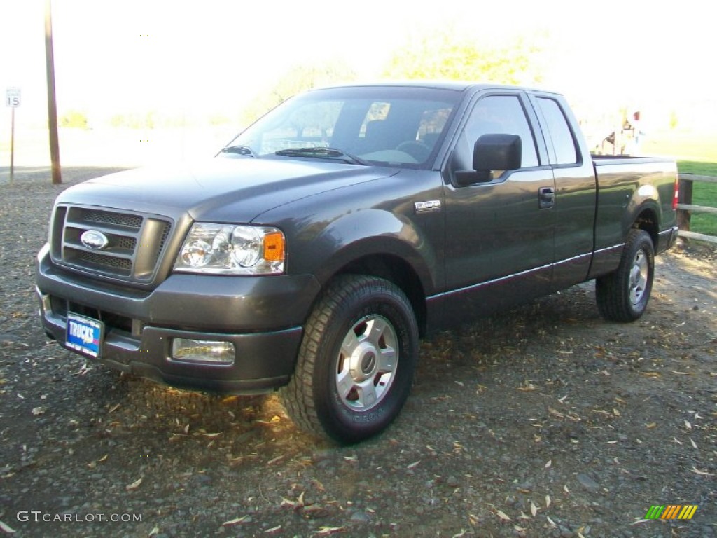 2004 F150 XLT SuperCab - Dark Shadow Grey Metallic / Medium/Dark Flint photo #5