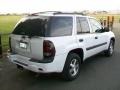 Summit White - TrailBlazer LS 4x4 Photo No. 2