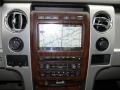 Medium Stone Leather/Sienna Brown Navigation Photo for 2010 Ford F150 #58184298