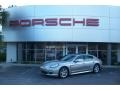 Platinum Silver Metallic - Panamera V6 Photo No. 1
