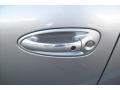Platinum Silver Metallic - Panamera V6 Photo No. 24