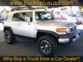 Titanium Metallic - FJ Cruiser 4WD Photo No. 38