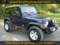 Midnight Blue Pearl - Wrangler Sport 4x4 Golden Eagle Photo No. 31