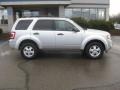 2010 Ingot Silver Metallic Ford Escape XLT  photo #5