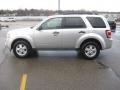 2010 Ingot Silver Metallic Ford Escape XLT  photo #9