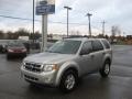 2010 Ingot Silver Metallic Ford Escape XLT  photo #10