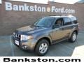 Sterling Gray Metallic - Escape XLT Photo No. 1