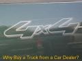 2006 Aspen Green Metallic Ford F150 XLT SuperCab 4x4  photo #36