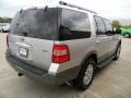 Ingot Silver Metallic - Expedition XLT Sport Photo No. 3