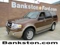 2012 Golden Bronze Metallic Ford Expedition XLT  photo #1