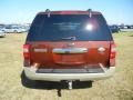 Dark Copper Metallic - Expedition King Ranch Photo No. 3