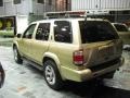 Luminous Gold Metallic - Pathfinder LE Platinum 4x4 Photo No. 3