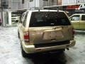 Luminous Gold Metallic - Pathfinder LE Platinum 4x4 Photo No. 4
