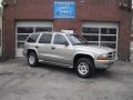 Bright Platinum Metallic 2001 Dodge Durango SLT 4x4