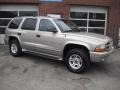 Bright Platinum Metallic - Durango SLT 4x4 Photo No. 2
