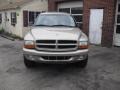 Bright Platinum Metallic - Durango SLT 4x4 Photo No. 4