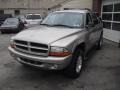Bright Platinum Metallic - Durango SLT 4x4 Photo No. 5