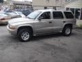 Bright Platinum Metallic - Durango SLT 4x4 Photo No. 6