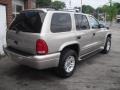 Bright Platinum Metallic - Durango SLT 4x4 Photo No. 10