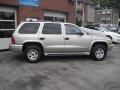 Bright Platinum Metallic - Durango SLT 4x4 Photo No. 11