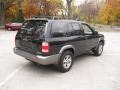 Super Black - Pathfinder SE 4x4 Photo No. 6