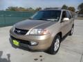 Mesa Beige Metallic - MDX  Photo No. 7
