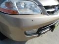 Mesa Beige Metallic - MDX  Photo No. 11