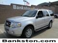Ingot Silver Metallic - Expedition XLT Photo No. 1