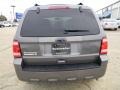 Sterling Grey Metallic - Escape XLT Photo No. 3