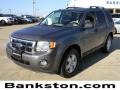Sterling Grey Metallic - Escape XLT Photo No. 1