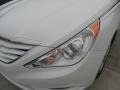 Shimmering White - Sonata GLS Photo No. 9