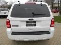 2010 White Suede Ford Escape XLT  photo #4