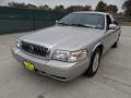 2006 Silver Birch Metallic Mercury Grand Marquis LS  photo #7