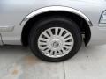 2006 Silver Birch Metallic Mercury Grand Marquis LS  photo #14