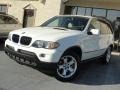 Alpine White - X5 3.0i Photo No. 1