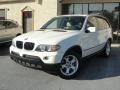 Alpine White - X5 3.0i Photo No. 2