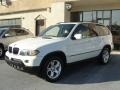 Alpine White - X5 3.0i Photo No. 3