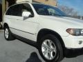 Alpine White - X5 3.0i Photo No. 7