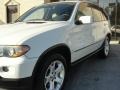 Alpine White - X5 3.0i Photo No. 8