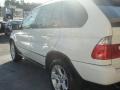 Alpine White - X5 3.0i Photo No. 9