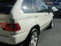 Alpine White - X5 3.0i Photo No. 10