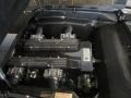 6.2 Liter DOHC 48-Valve VVT V12 Engine for 2003 Lamborghini Murcielago Coupe #58215193