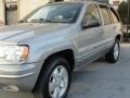 2001 Champagne Pearl Jeep Grand Cherokee Limited  photo #8